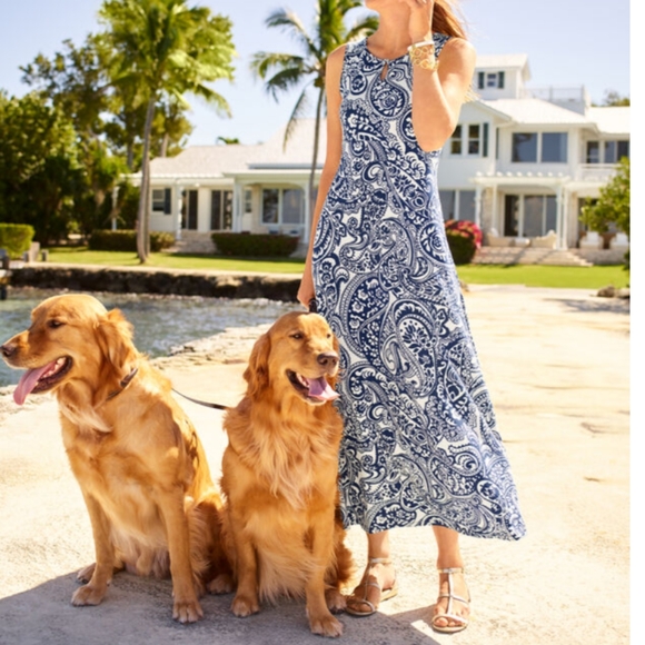 Talbots Knit Jersey Maxi Dress Paisley - Picture 2 of 9